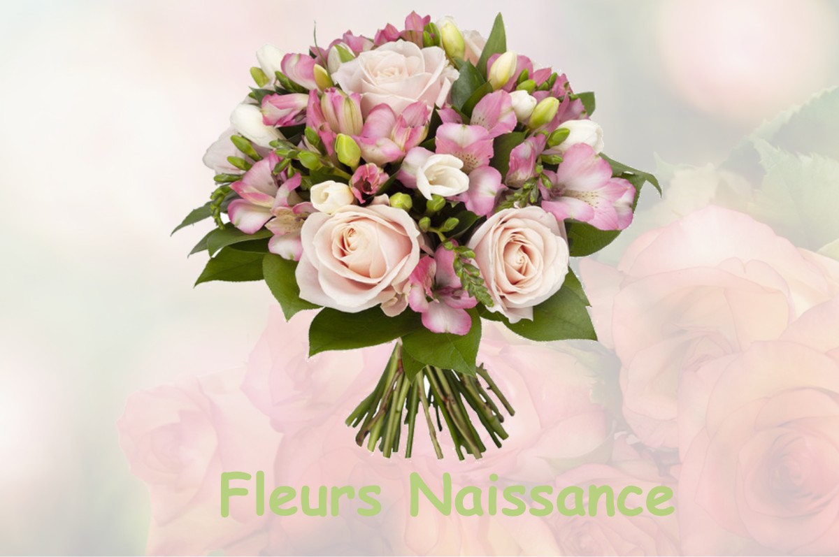 fleurs naissance FONTAINE-DENIS-NUISY